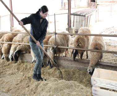 Θεανώ : «Η δουλειά δεν είναι ντροπή»